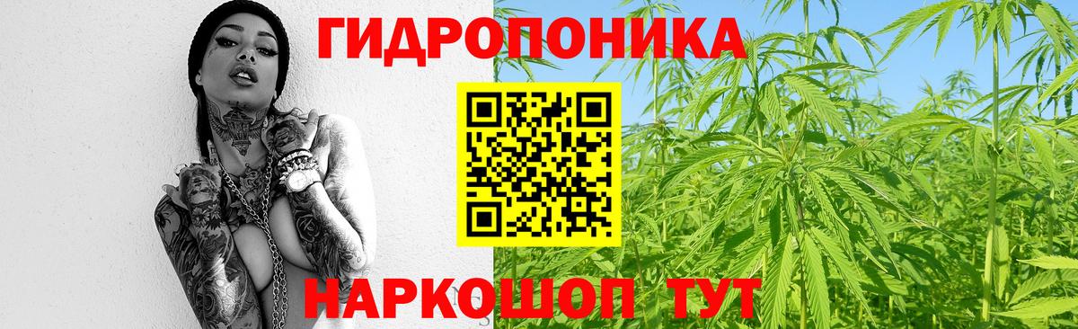 Галлюциногенные грибы Пушкино